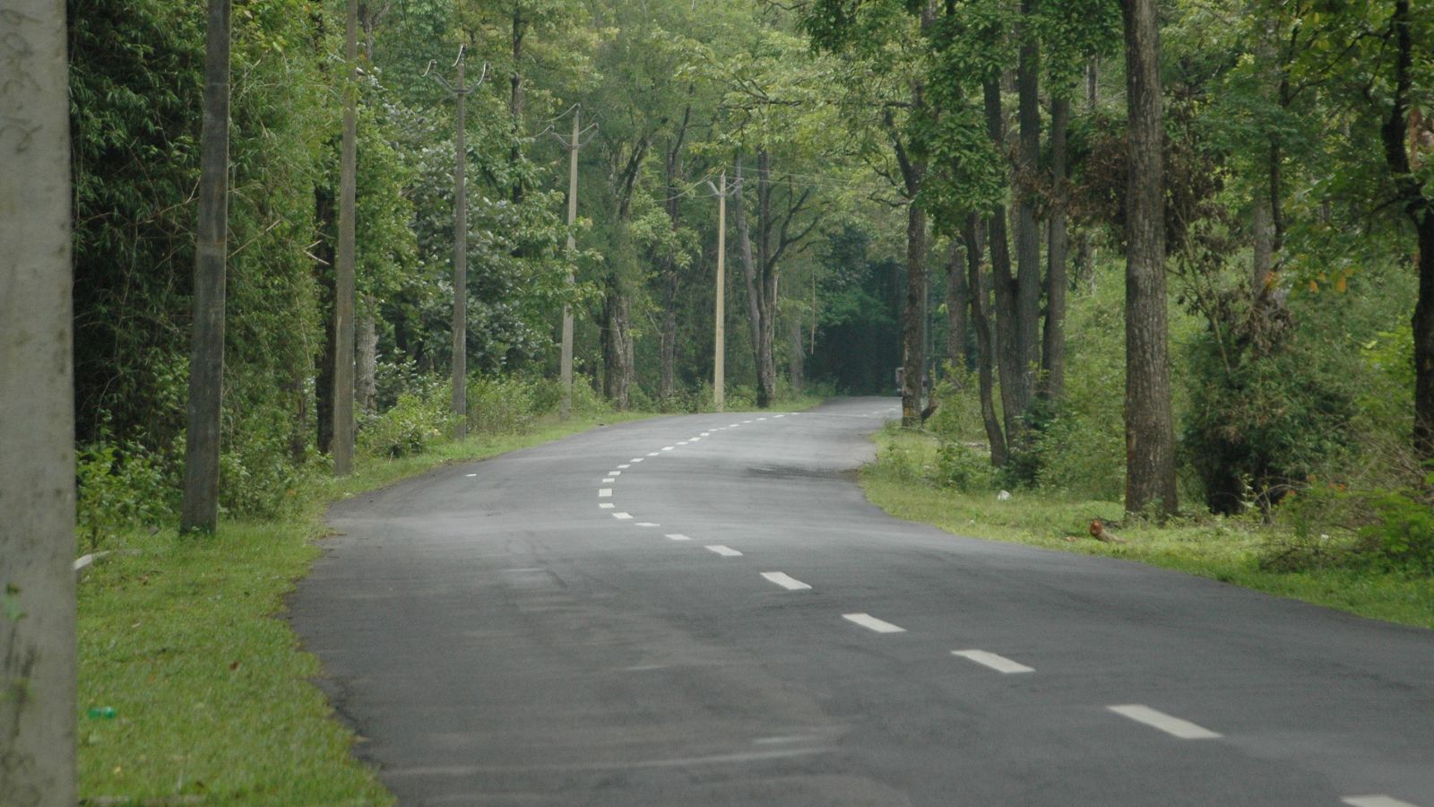 Jungle safari at Bandipur and Nagarahole to be fully reopened