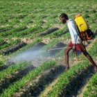 15 vessels carrying urea, DAP and Sulphur cross Strait of Hormuz safely, says India