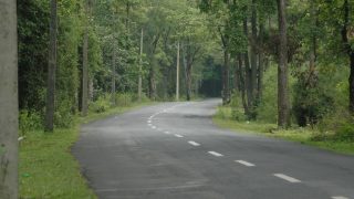 Jungle safari at Bandipur and Nagarahole to be fully reopened