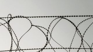 Pakistan intruder apprehended along LoC in J&K’s Poonch